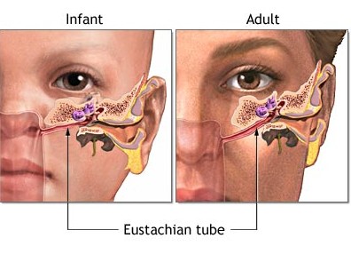 Afbestille pas Minefelt I'm having ear pain, but the doctor said there was no ear infection – what  is Eustachian Tube Dysfunction? - Dallas ENT Group