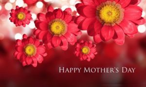 hr flowers mother day hd wallpaper 1024x614 2